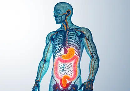 Drips Therapies