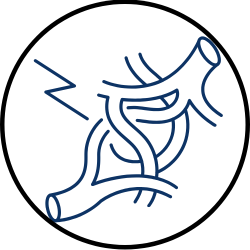 individual